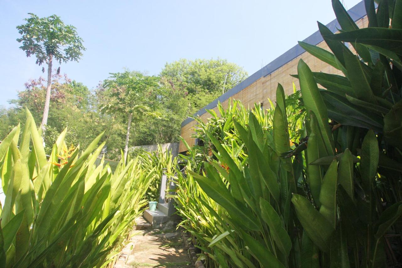 Manta Manta Guesthouse Labuan Bajo Exterior foto